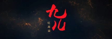 东宝中学九儿舞蹈MV