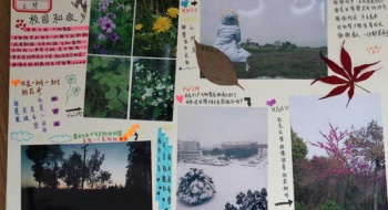 “美丽家乡  靓丽东中”摄影比赛