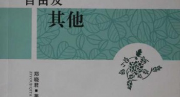 东宝中学教师郑晓君荣获全国大奖