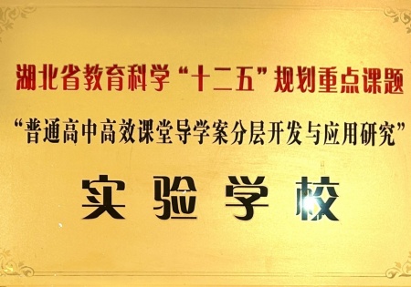 湖北省教育科学“十二五”规划重点课题