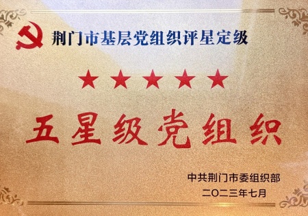 荆门市基层党组织评星定级 五星级党组织